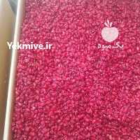 آگهی مشابه فروش زرشک پفکی در مشهد در گروه خرید فروش عمده ازگیل و تمشک و زرشک - ژاپنی فروش مستقیم در یکمیوه