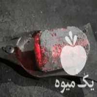 آگهی مشابه فروش پخش زغال چینی و کبابی  در پردیس در گروه خرید فروش عمده چوب- زغال چوب گردو تبریزی خام در یکمیوه