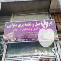 آگهی مشابه فروش آجیل و تخمه پزی مأوایی در کرمانشاه در گروه آجیل - فروش عمده محصولات در یکمیوه