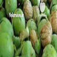 آگهی مشابه فروش گردو سبز باغی در اهواز در گروه گردو - کاغذی سنگی سوزنی خوشه ای توسرکان در یکمیوه