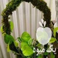 آگهی مشابه فروش قیم با خزه برای گل های رونده در اردبیل در گروه خرید فروش عمده گیاهان زینتی - گرمسیری آپارتمانی باغچه آب در یکمیوه