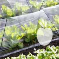 آگهی مشابه فروش نایلون کشاورزی در اصفهان در گروه خرید فروش بسته بندی نایلونی - کیسه نایلکس مشما پلاستیک در یکمیوه