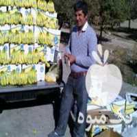 آگهی مشابه فروش کارتن موز تعداد بالا کوچک و بزرگ در تهران در گروه خرید فروش انواع بسته بندی کاغذی - کارتن مقوا در یکمیوه