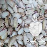 آگهی مشابه فروش پسته و مغز پسته در دامغان در گروه پسته - کوهی شامی خام اکبری تازه کله قوچی در یکمیوه