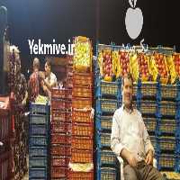 آگهی مشابه فروش و حق العملکاری در تره بار مرکزی در تهران در گروه حق العمل کاری محصولات کشاورزی و دامداری خدمات کارمزد در یکمیوه