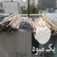 آگهی مشابه فروش انواع چوب بامبو انواع سایز در تهران در گروه خرید فروش عمده چوب- زغال چوب گردو تبریزی خام در یکمیوه