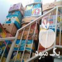 آگهی مشابه فروش کارتن موزی و انبه ای در پردیس در گروه خرید فروش انواع بسته بندی کاغذی - کارتن مقوا در یکمیوه
