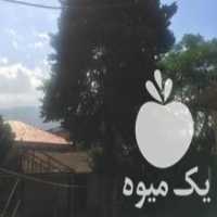 آگهی مشابه فروش چوب درخت کاج 60ساله در چالوس در گروه خرید فروش عمده چوب- زغال چوب گردو تبریزی خام در یکمیوه