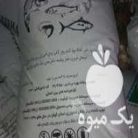 آگهی مشابه فروش زیر قیمت غذای مخصوص ماهی گرمابی در اصفهان در گروه خوراک شیلات و آبزیان - ماهی گیلان خوزستان چابهار بوشهر در یکمیوه