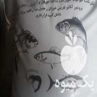 آگهی مشابه فروش غذای بچه ماهی کپور در گروه خوراک شیلات و آبزیان - ماهی گیلان خوزستان چابهار بوشهر در یکمیوه