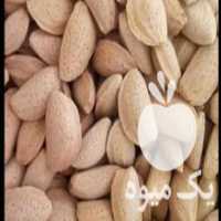 آگهی مشابه فروش بادام سنگی در اصفهان در گروه بادام - درختی کوهی زمینی فروش عمده در یکمیوه