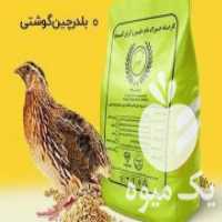 آگهی مشابه فروش دان بلدرچین در تهران در گروه خوراک دام و طیور - پرواری شیری علوفه یونجه در یکمیوه