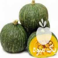 آگهی مشابه فروش مقدار یک تن کدو شیرین در ملایر در گروه خرید فروش عمده کدو - سبز خورشتی بندر ورامین کرج سفید در یکمیوه