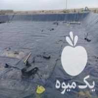 آگهی مشابه فروش ونصب ورق ژئوممبران برای استخرهای کشاورزی  در اصفهان در گروه خرید فروش انواع پوشش ها و ورق ها - پلی استر پلی کربنات نایلون در یکمیوه