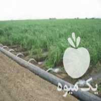 آگهی مشابه فروش لوله تاشویا هیدروفلوم در اصفهان در گروه خرید فروش اتصالات و تجهیزات آبیاری - شیر لوله نوار در یکمیوه