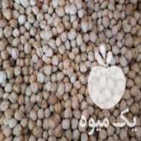 آگهی مشابه فروش نخود کرمانشاه در اسلامشهر در گروه خرید فروش عمده نخود - فرنگی خام سبز فروش عمده در یکمیوه