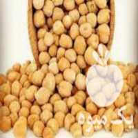 آگهی مشابه فروش نخود قرمز وسفید در سنندج در گروه خرید فروش عمده نخود - فرنگی خام سبز فروش عمده در یکمیوه