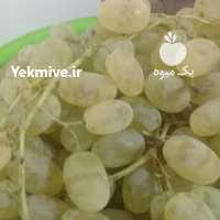 آگهی مشابه فروش انگورباب شیره در همدان در گروه خرید فروش عمده انگور - یاقوتی شانی عسگری بی دانه قرمز در یکمیوه