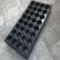 آگهی مشابه فروش سینی کشت نشاء پلاستیکی در هرمز در گروه خرید فروش نشا - انواع گوجه برنج کاهو پیاز کاری فرنگی در یکمیوه