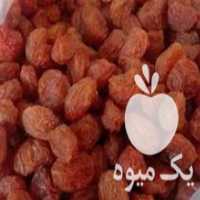 آگهی مشابه فروش الو ارگانیک در تهران در گروه خرید فروش عمده آلو - آلوچه گوجه سبز زرد خاکی شابلون سانتریزه سیاه در یکمیوه