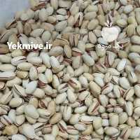 آگهی مشابه فروش پسته خشک در یزد در گروه پسته - کوهی شامی خام اکبری تازه کله قوچی در یکمیوه