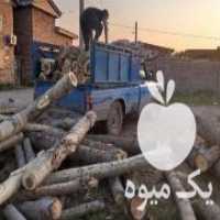 آگهی مشابه خریدار چوب  ، درخت  ، الوار در گرگان در گروه خرید فروش عمده چوب- زغال چوب گردو تبریزی خام در یکمیوه