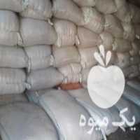 آگهی مشابه فروش کاه گندم  ، کاه لوبیا  در آبیک در گروه خوراک دام و طیور - پرواری شیری علوفه یونجه در یکمیوه