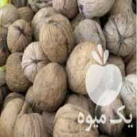 آگهی مشابه فروش گردو  در تهران در گروه گردو - کاغذی سنگی سوزنی خوشه ای توسرکان در یکمیوه