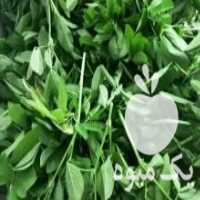 آگهی مشابه فروش یونجه تازه وپربرگ در مشهد در گروه خوراک دام و طیور - پرواری شیری علوفه یونجه در یکمیوه
