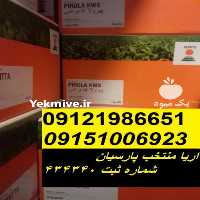 آگهی مشابه فروش بذر چغندر در تهران در گروه خرید فروش بذر - انواع محصول کشاورزی گوجه کتان میوه درخت در یکمیوه