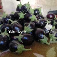 آگهی مشابه فروش بادمجان کَلَش دلمه ای در پارسیان در گروه خرید فروش عمده بادمجان - قلمی دلمه کبابی مشکی سفید در یکمیوه