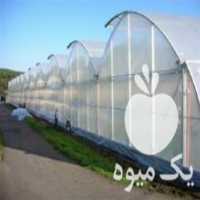 آگهی مشابه تولید و فروش انواع نایلون در اصفهان در گروه خرید فروش بسته بندی نایلونی - کیسه نایلکس مشما پلاستیک در یکمیوه