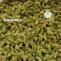 آگهی مشابه فروش کشمش عمده در تهران در گروه آجیل - فروش عمده محصولات در یکمیوه