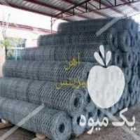 آگهی مشابه فروش توری گابیون در تهران در گروه خرید فروش سایر محصولات تجهیزات کشاورزی در یکمیوه