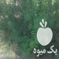 آگهی مشابه فروش نهال لیموترش در هرمز در گروه خرید فروش نهال - انواع گردو پسته بادام سلطانی انگور در یکمیوه