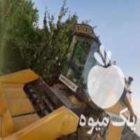 آگهی مشابه فروش کمباین وارداتی سمپو در شیراز در گروه خرید فروش ماشین آلات کشاورزی - تراکتور تیلر کمباین مدرن در یکمیوه