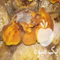 آگهی مشابه فروش کمپوست قارچ گانودرما در تهران در گروه خرید فروش عمده قارچ - دکمه ای خوراکی دارویی پرورشی کوهی در یکمیوه