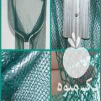 آگهی مشابه فروش ساچوک وارداتی در تهران در گروه تجهیزات ماهیگیری - خرید و فروش محصولات در یکمیوه