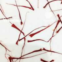 آگهی مشابه فروش عمده زعفران صادراتی قاینات در تهران در گروه خرید فروش عمده زعفران - قائنات قیمت خراسان بهرامن گرم در یکمیوه