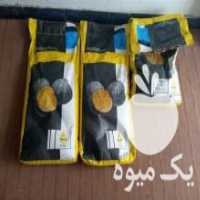 آگهی مشابه فروش بذر کلزا  ،  تراپر آلمانی سال 2019 پلمپ در ترک در گروه خرید فروش بذر - انواع محصول کشاورزی گوجه کتان میوه درخت در یکمیوه