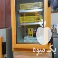 آگهی مشابه فروش دستگاه های جوجه کشی در شیراز در گروه تجهیزات دام و طیور - خرید فروش نو دسته دوم در یکمیوه