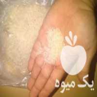 آگهی مشابه فروش برنج فجر سوزنی معطر در مشهد در گروه خرید فروش عمده برنج - نیم دانه عنبر بو هاشمی کاظمی هندی پاکستانی در یکمیوه