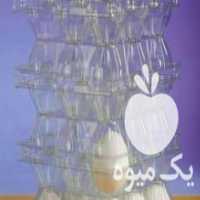 آگهی مشابه فروش شانه بسته بندی تخم بلدرچین تخم مرغ در تهران در گروه انواع تخم ها - مرغ بوقلمون پرنده عمده کشاورزی در یکمیوه