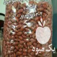 آگهی مشابه فروش بذر کلزا خارجی تراپر شرکتی در پارس آباد در گروه بادام - درختی کوهی زمینی فروش عمده در یکمیوه