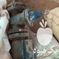 آگهی مشابه فروش فلکه گردون و شیر خودکار 4اینچ در تاکستان در گروه گردو - کاغذی سنگی سوزنی خوشه ای توسرکان در یکمیوه