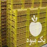 آگهی مشابه فروش کیوی صادراتی 60 به بالا ریز و دوقلو سبز و زرد خونی در تهران در گروه خرید فروش عمده کیوی - صادراتی مازندران تنکابن تالش در یکمیوه
