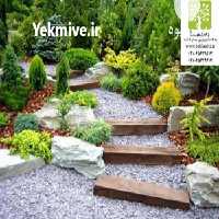 آگهی مشابه فروش انواع درختچه های زینتی و گل دائمی در تهران در گروه خرید فروش عمده گیاهان زینتی - گرمسیری آپارتمانی باغچه آب در یکمیوه