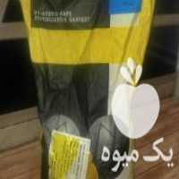 آگهی مشابه فروش ده کیلو بذر کلزا تراپر پلمپ شده در گالیکش در گروه خرید فروش بذر - انواع محصول کشاورزی گوجه کتان میوه درخت در یکمیوه