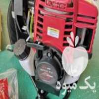 آگهی مشابه فروش علفزن چهار زمانه کوله پشتی  علفتراش  با تخفیف ویژه در بجنورد در گروه خرید فروش ابزار ها و تجهیزات کشاورزی - دستی برقی ماشینی بیل کلنگ در یکمیوه