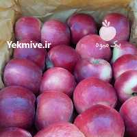 آگهی مشابه فروش سیب گلاب در ارومیه در گروه خرید فروش عمده سیب - زرد و قرمز گلاب پاییزه در یکمیوه